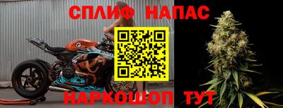 стафф Лесосибирск