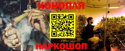 стафф Лесосибирск