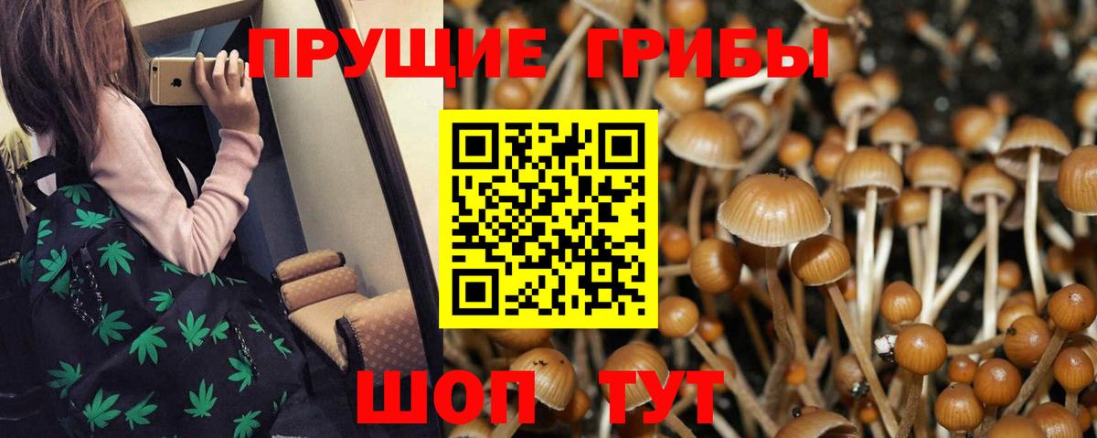 КОКАИН  Тверь  ГАШ  АМФ кристаллы  Вход с VPN  МЕФ   APVP СК   Канабис  Магазины продажи наркотиков  Гашиш 