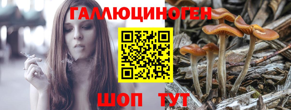 Тверь  Псилоцибиновые грибы GOLDEN TEACHER  Вход с VPN 